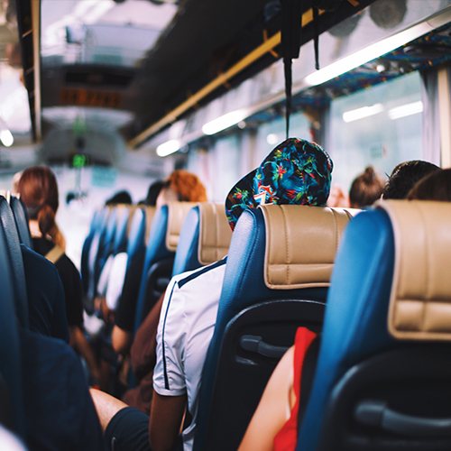 Knox trips and tours