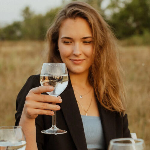 Wine tours in Knoxville